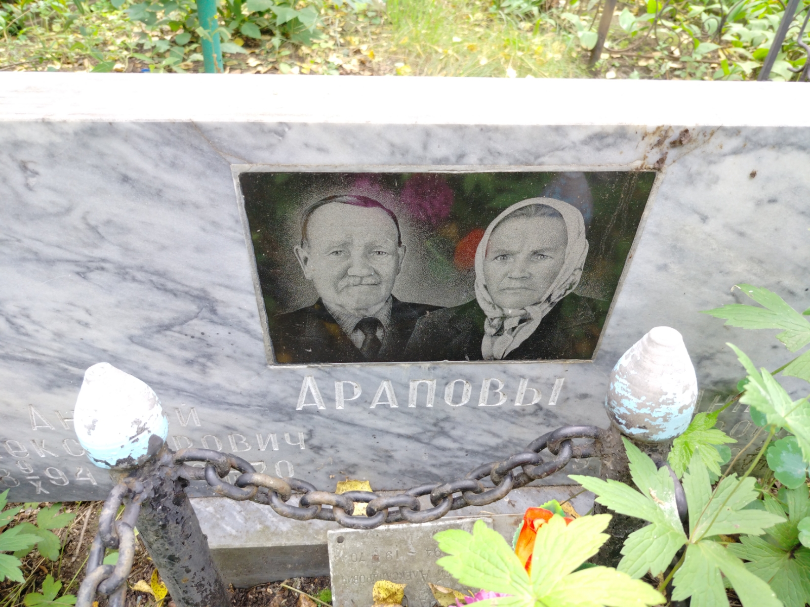 Арапов None