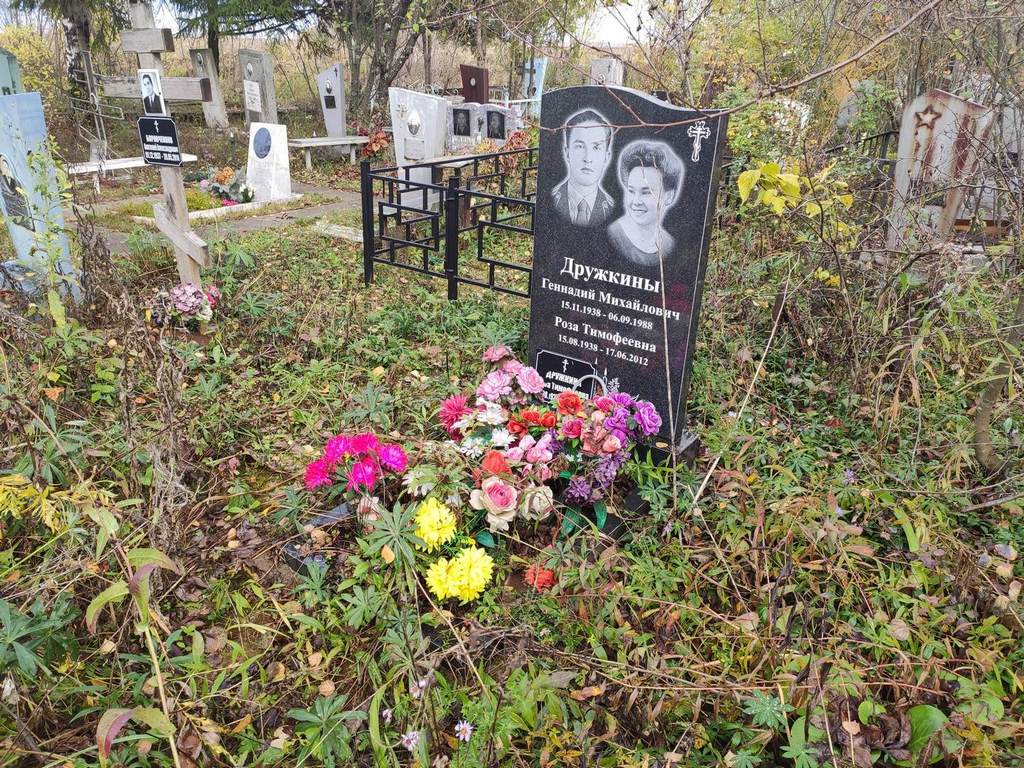 Дружкин Геннадий Михайлович