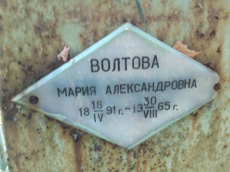 Волтова