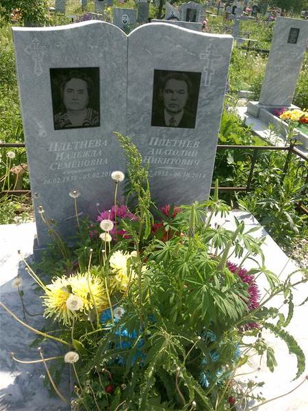 Плетнев Анатолий Никитович