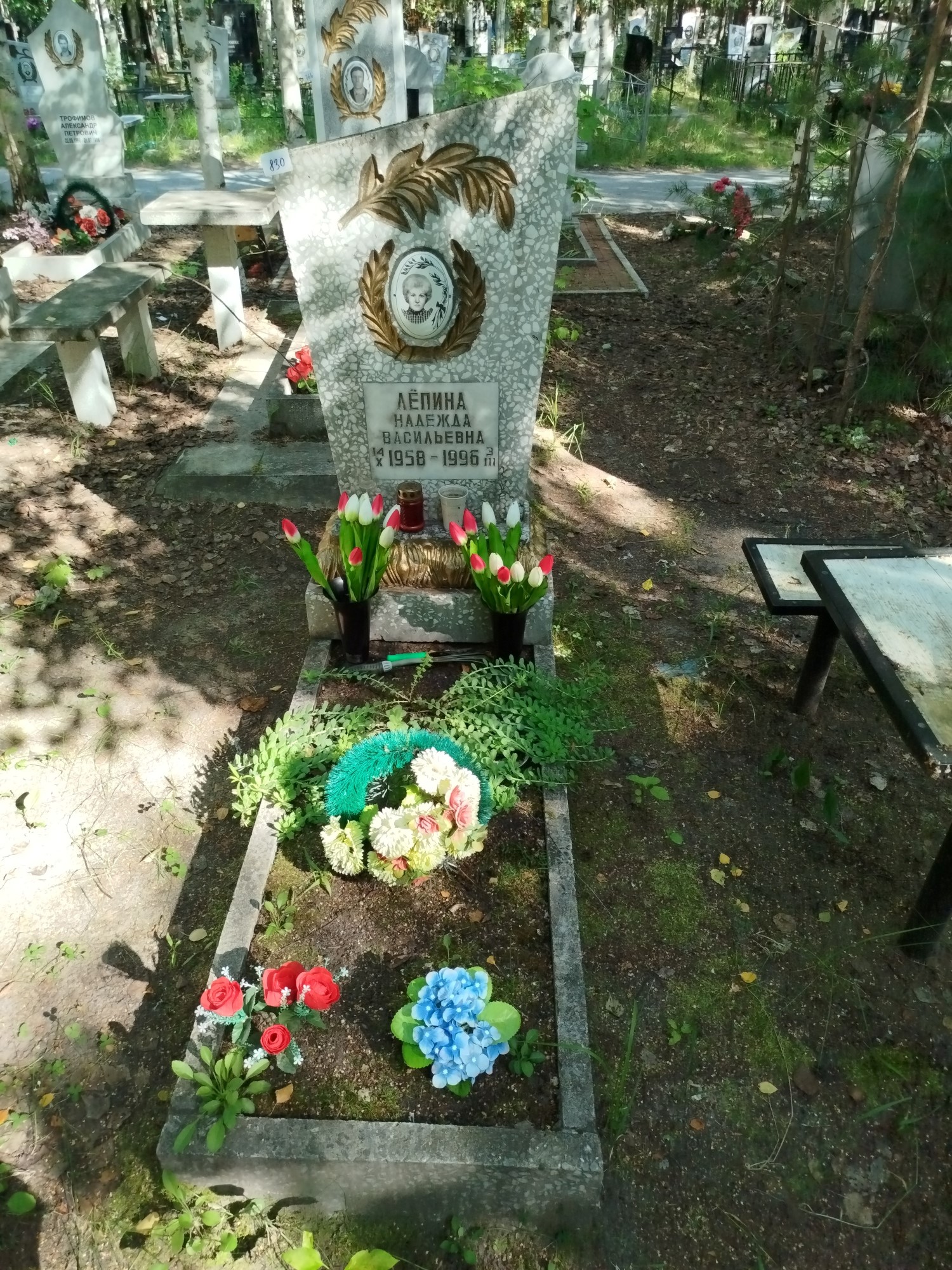 Лепина Надежда Васильевна