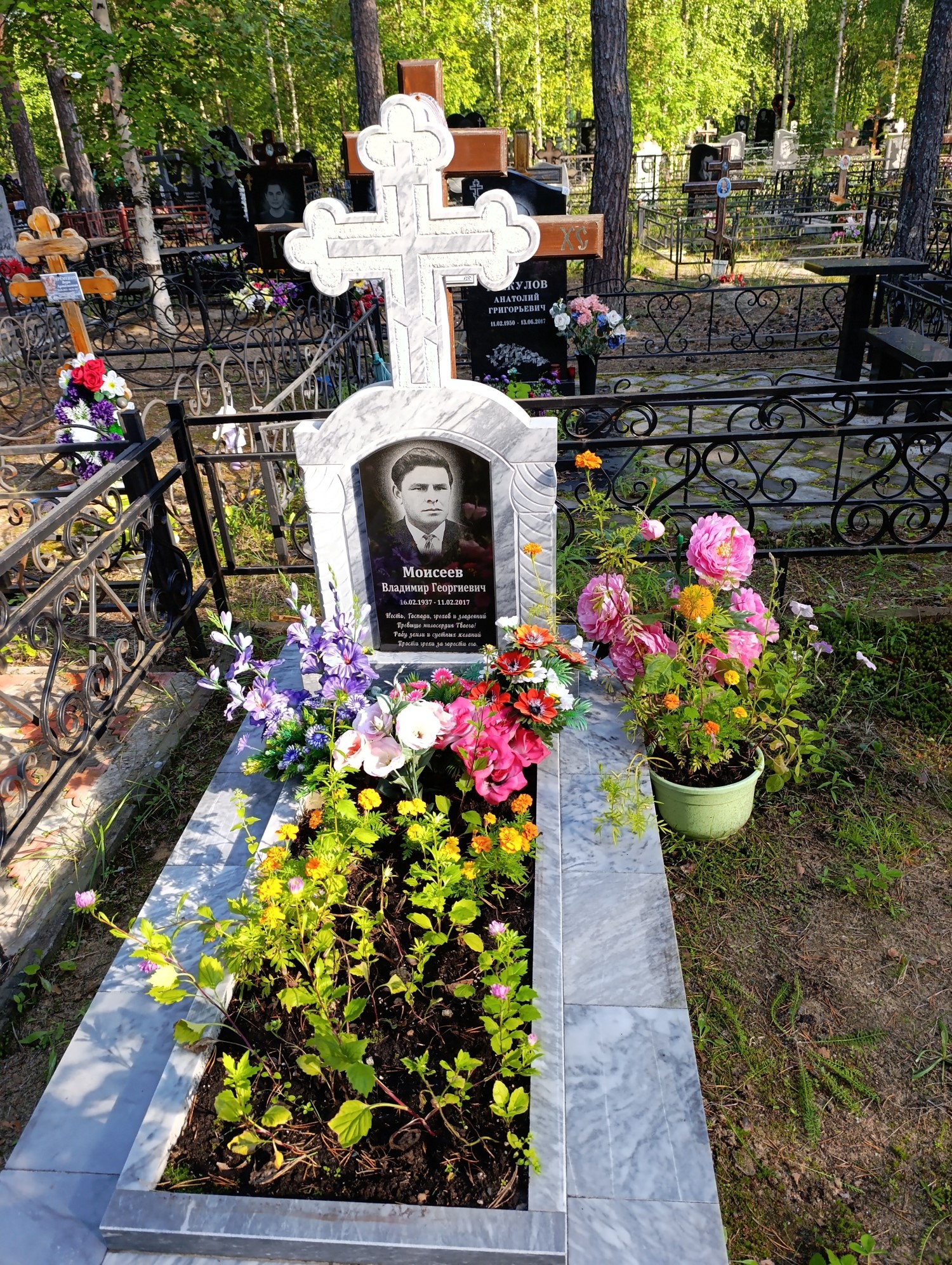 Моисеев Владимир Георгиевич
