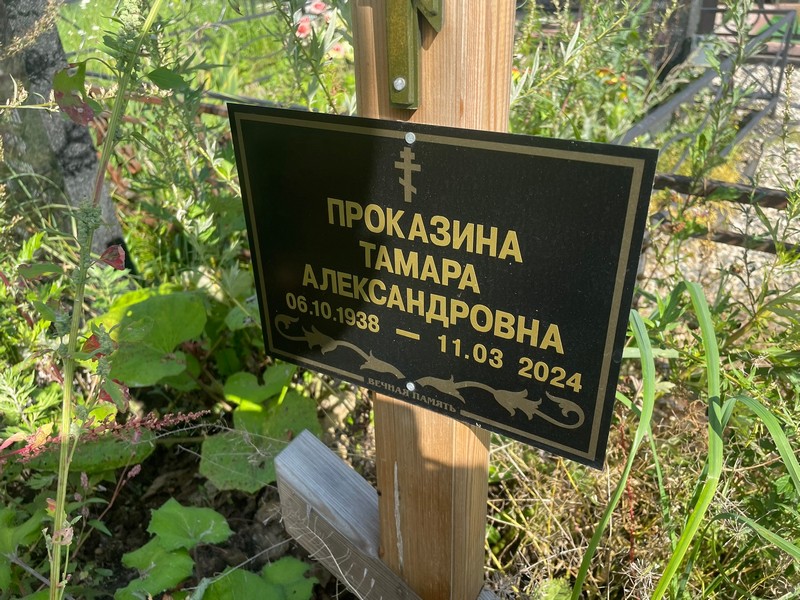 Проказина
