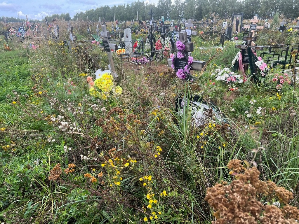 Пегова Вера Николаевна