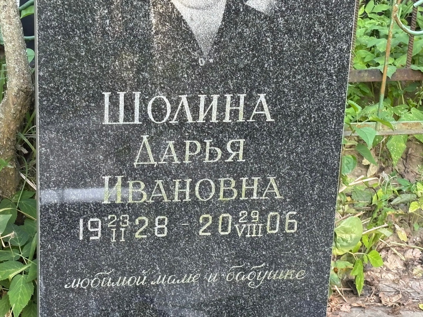 Шолина