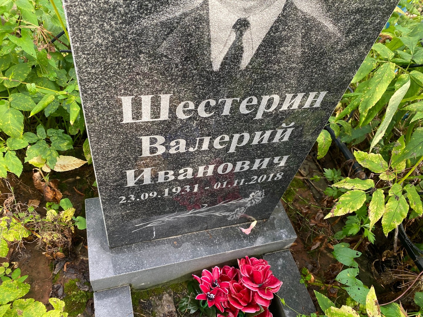 Шестерин