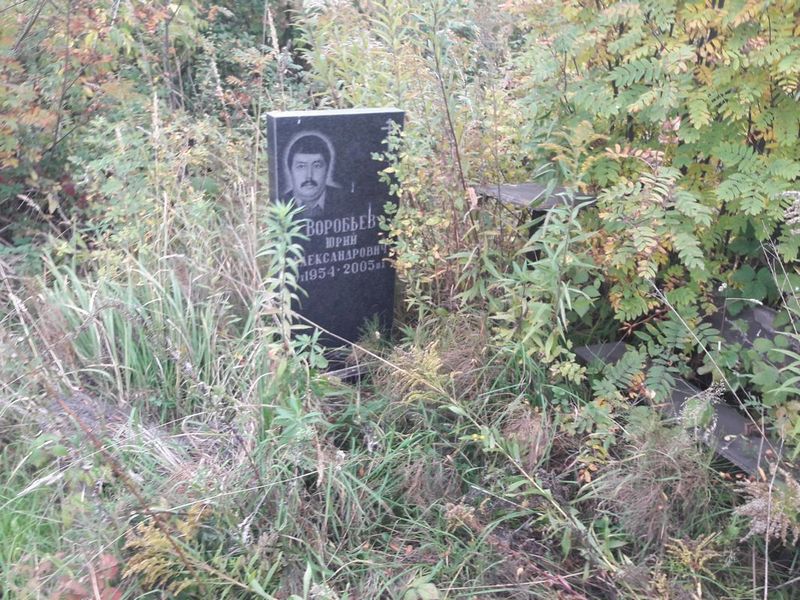 Воробьев Юрий Александрович