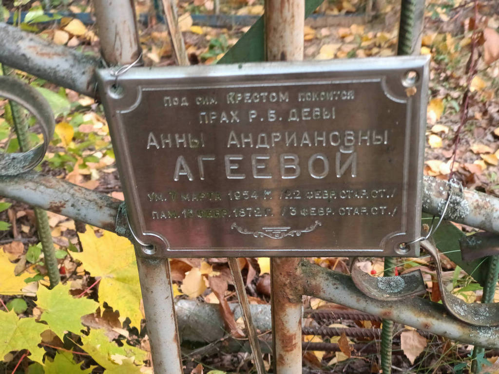 Агеева Анна Андриановна