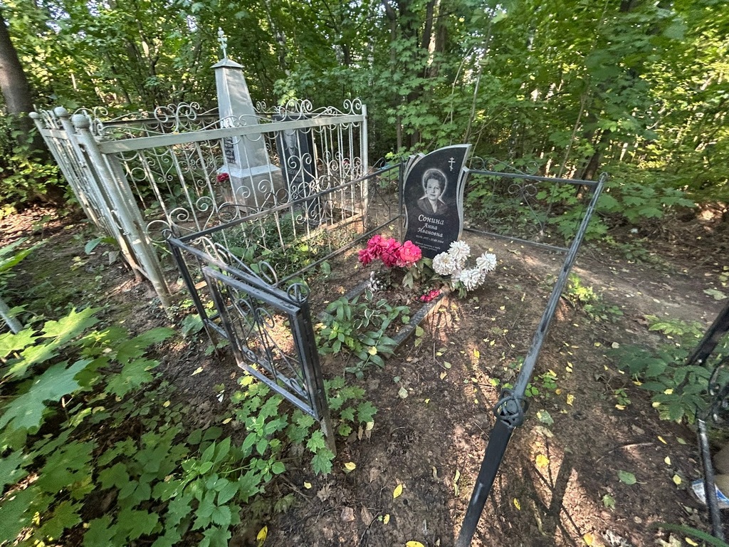 Сонина Анна Ивановна