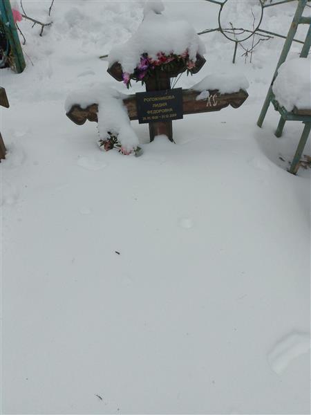 Рогожникова Лидия Федоровна