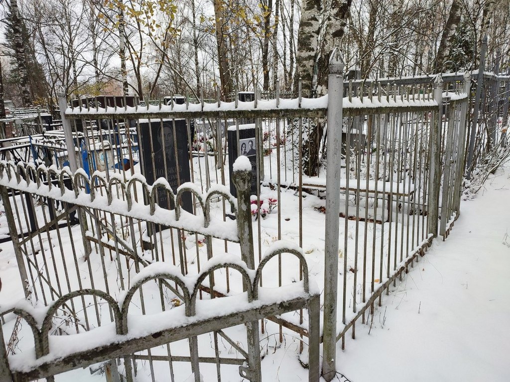 Полякова Дора Игнатьевна