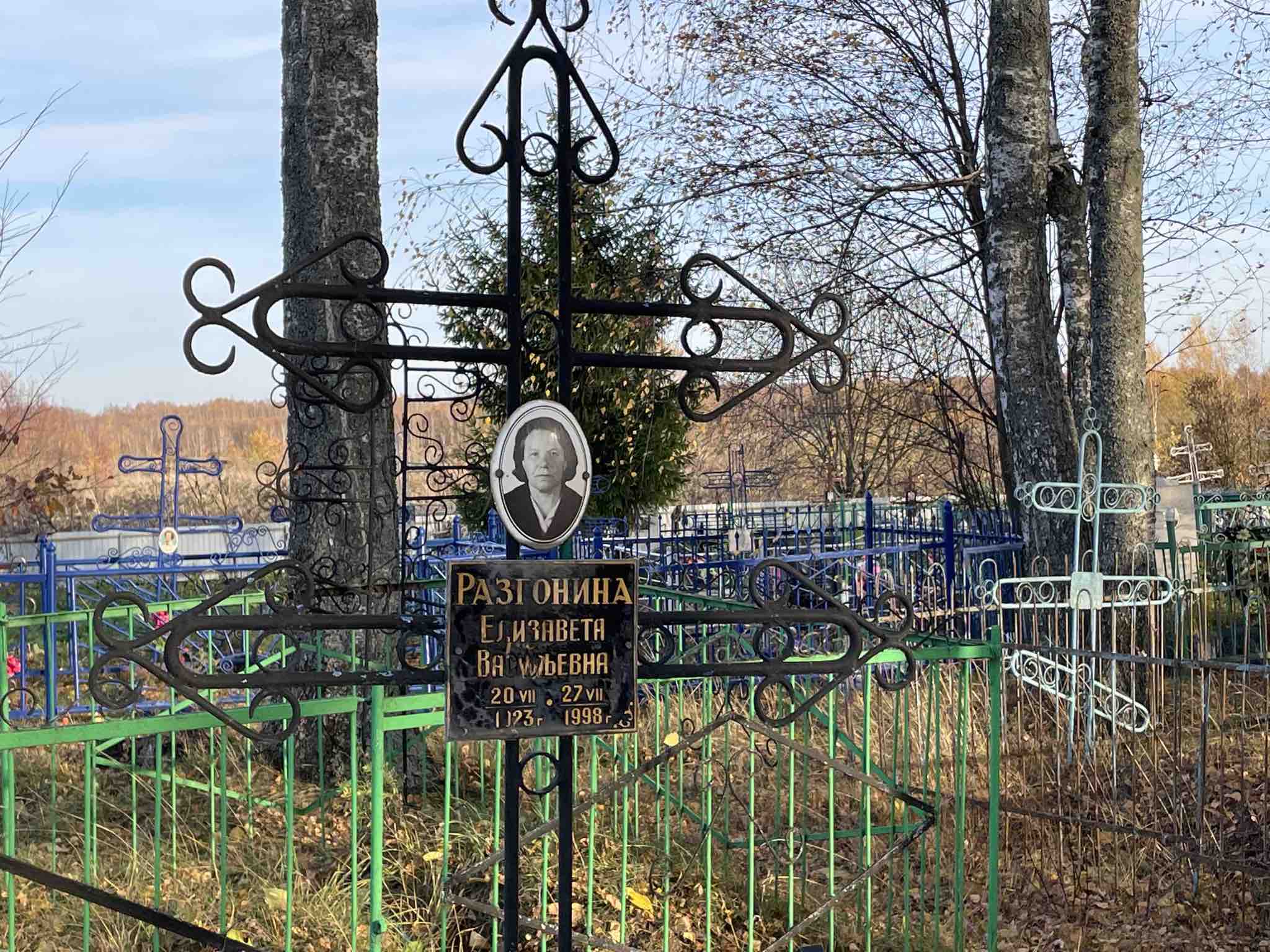 Разгонина Елизавета Васильевна