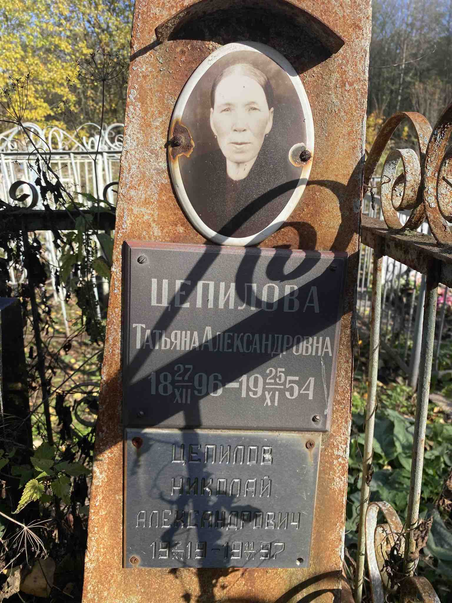 Цепилов Николай Александрович