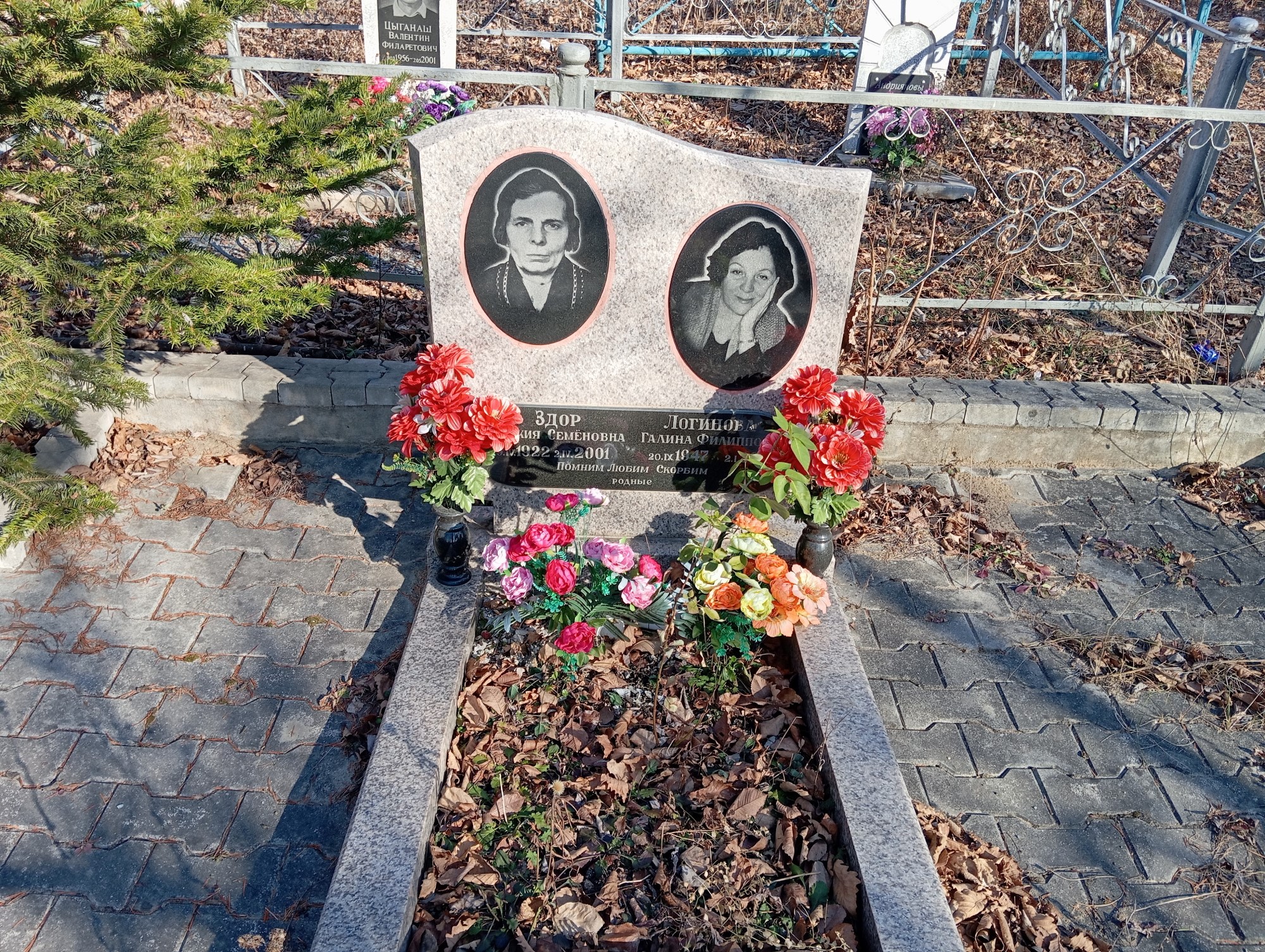 Здор Евдокия Семеновна