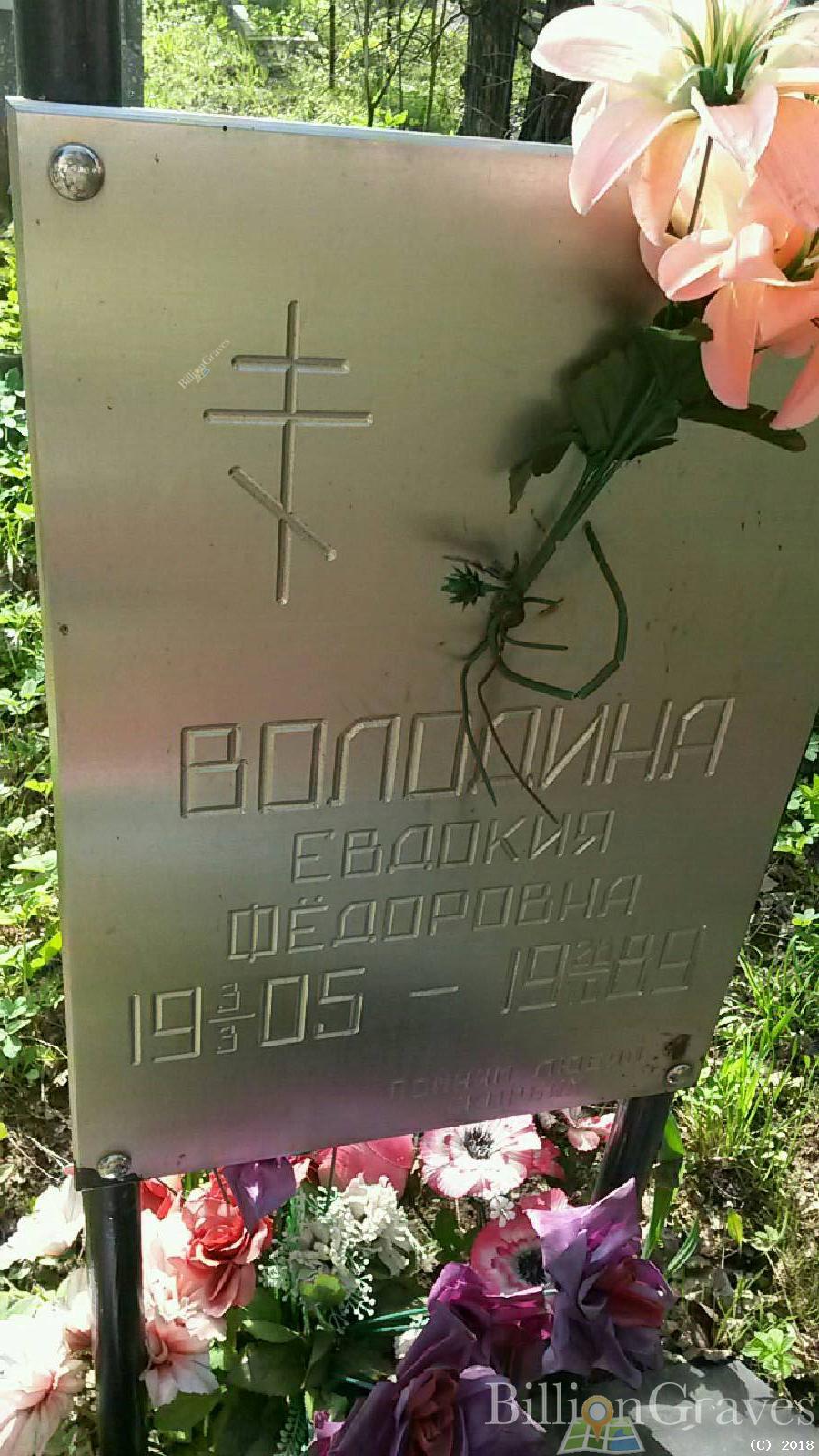 володина евдокия федоровна