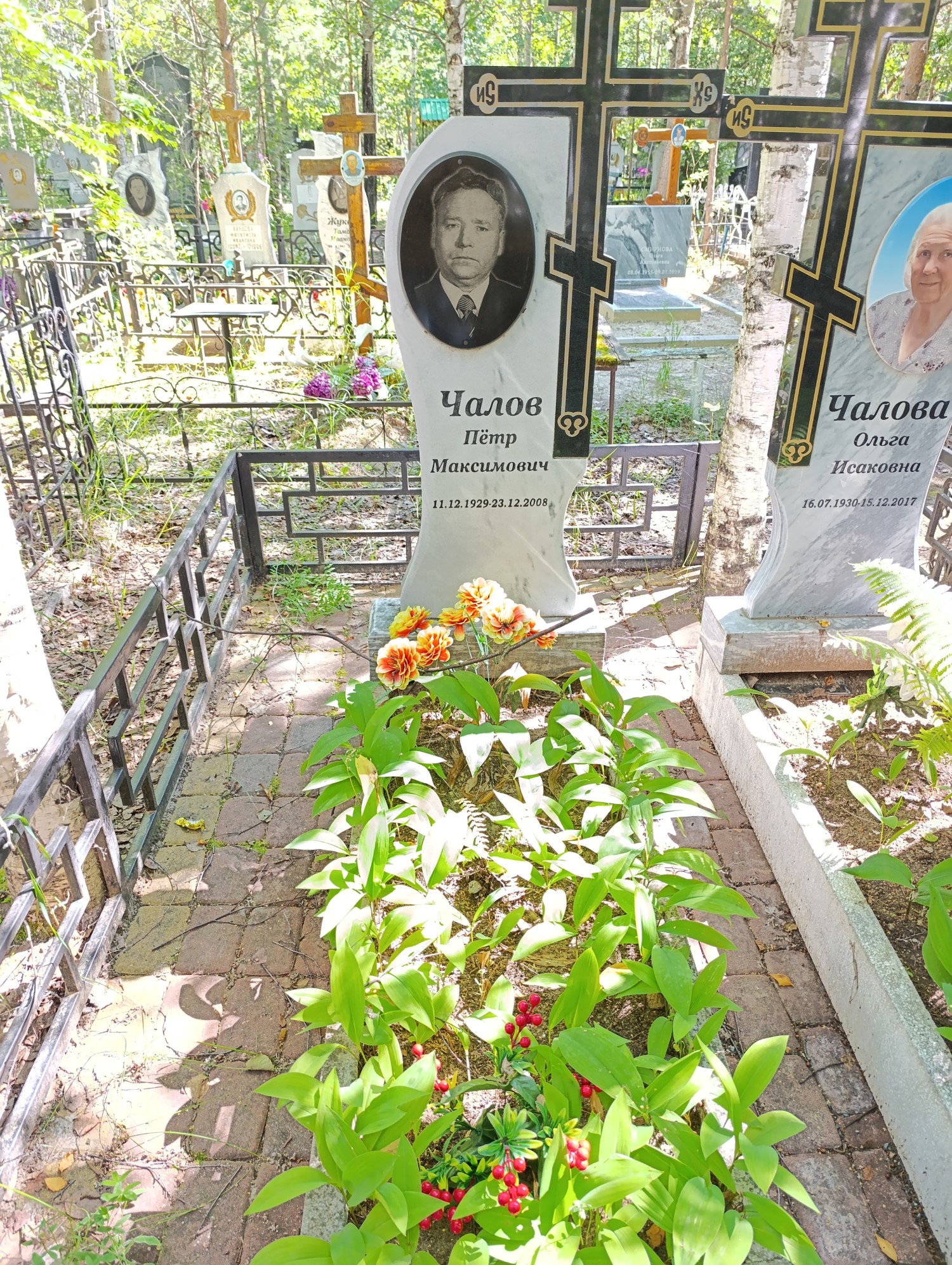 Чалов Петр Максимович