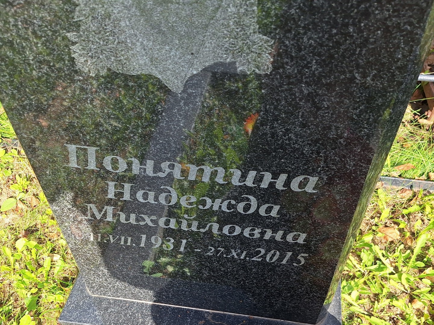 Понятина