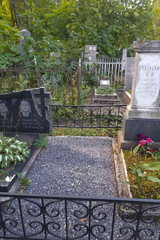 Сергеев Е. Н.