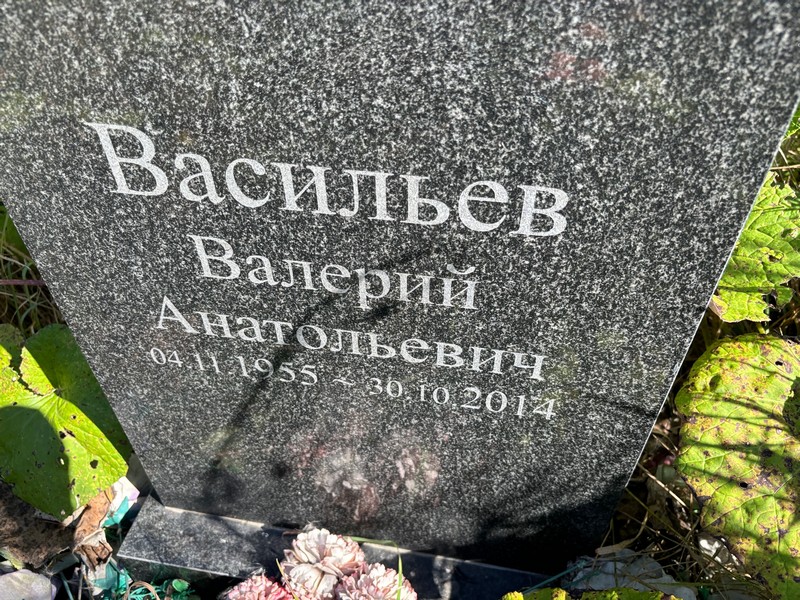Васильев