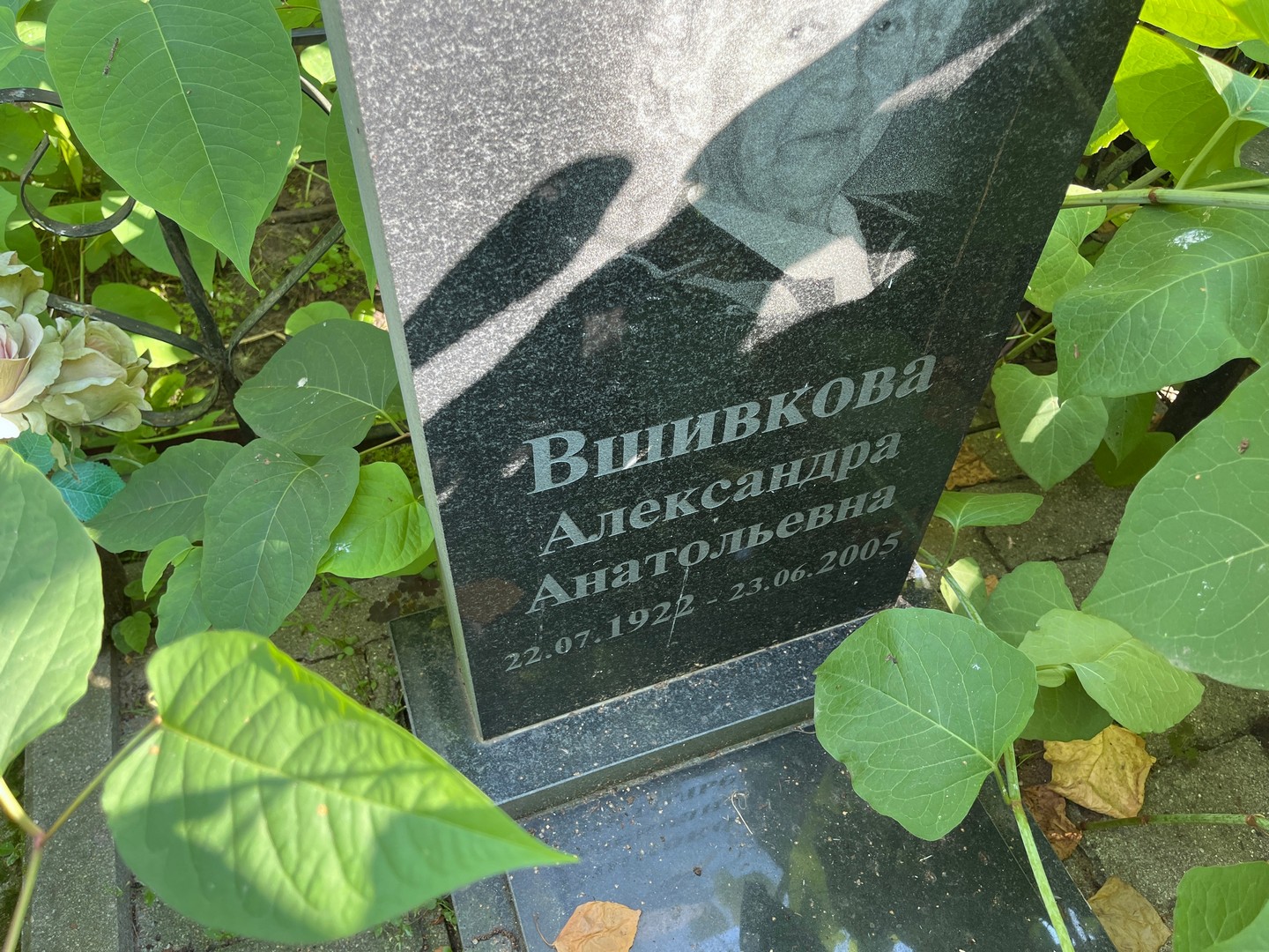 Вшивкова Александра Анатольевна