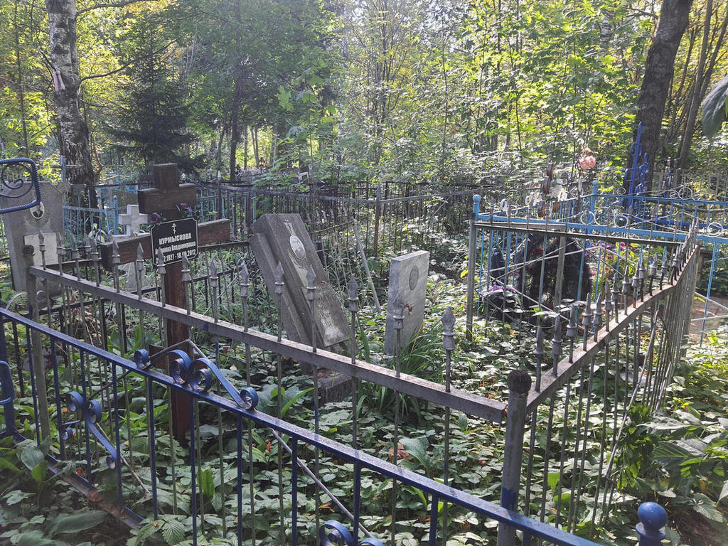 Курмыскова Антонина Владимировна