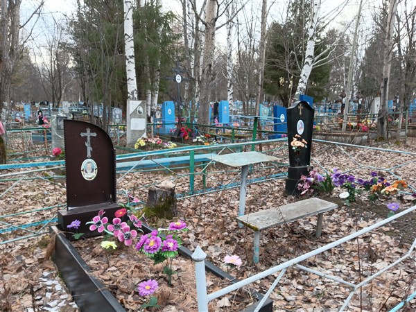 Дедицкая Наталья Александровна