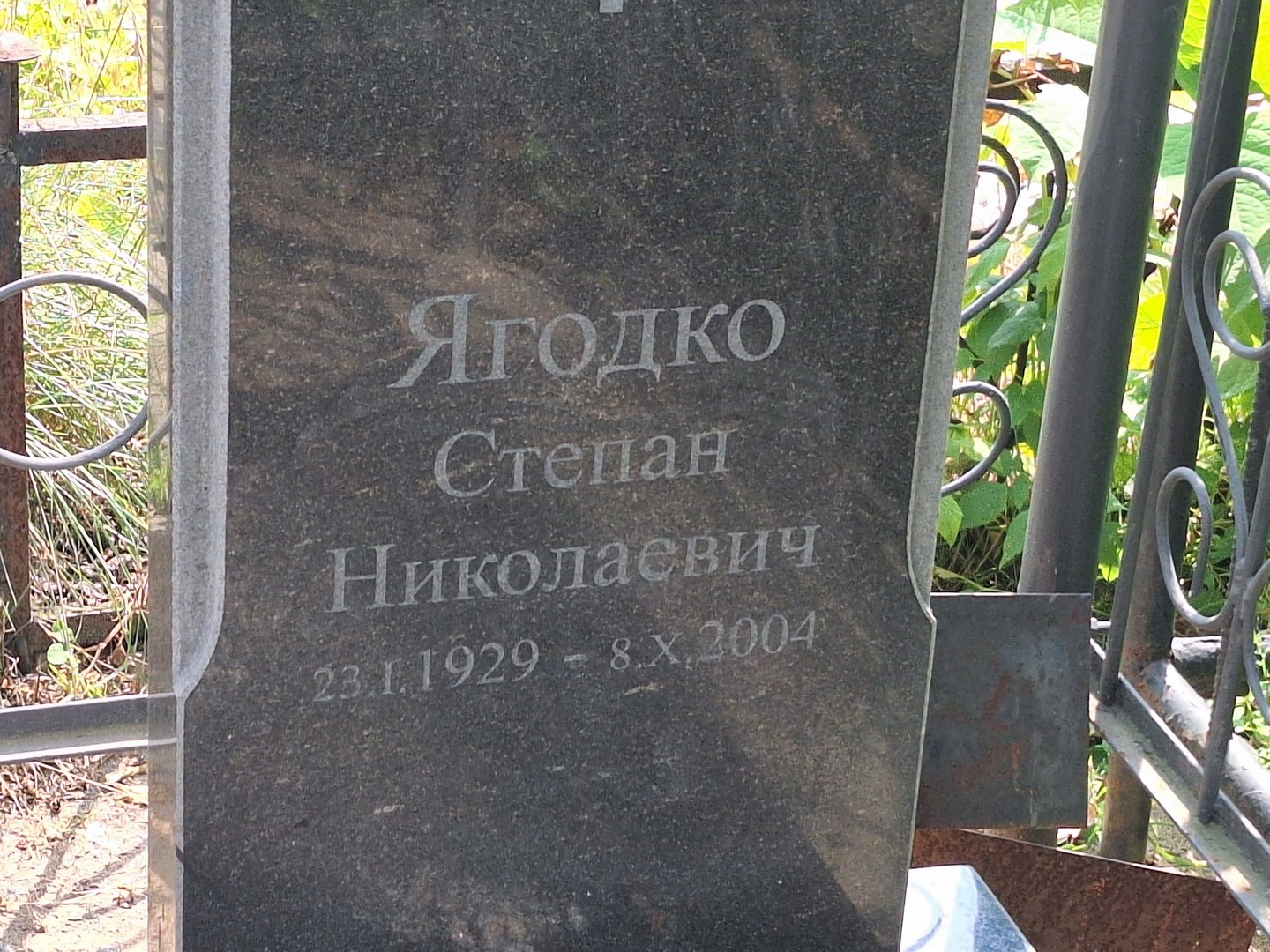 Ягодко