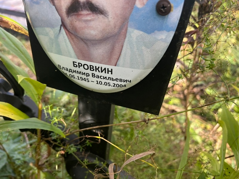 Бровкин