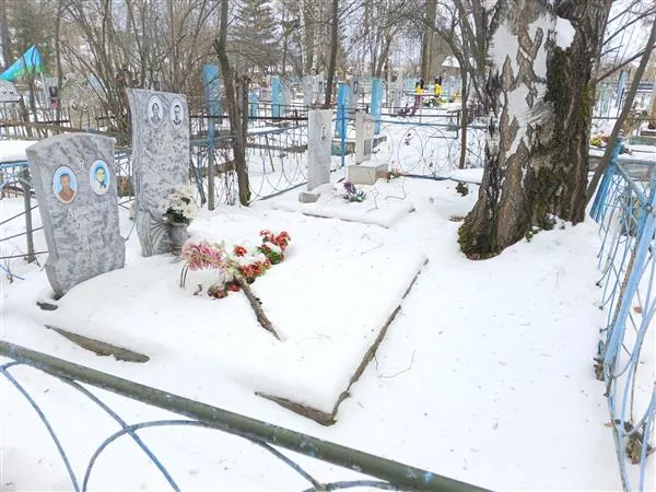 Артанов Николай