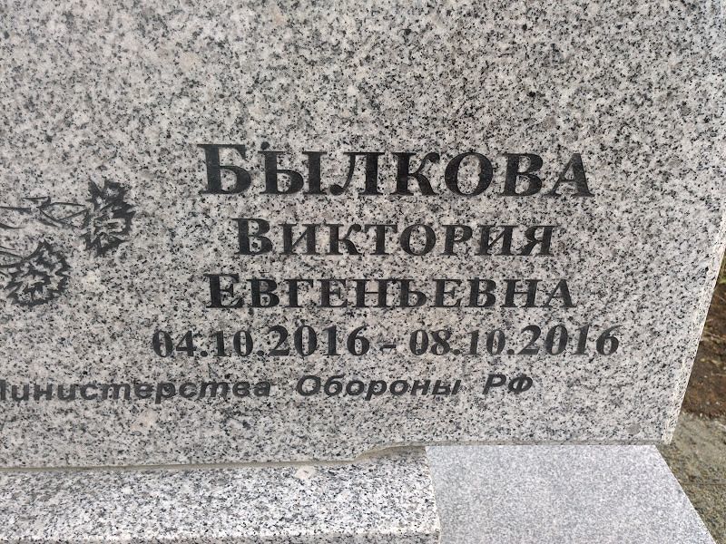 (Былкова) Боровых Виктория