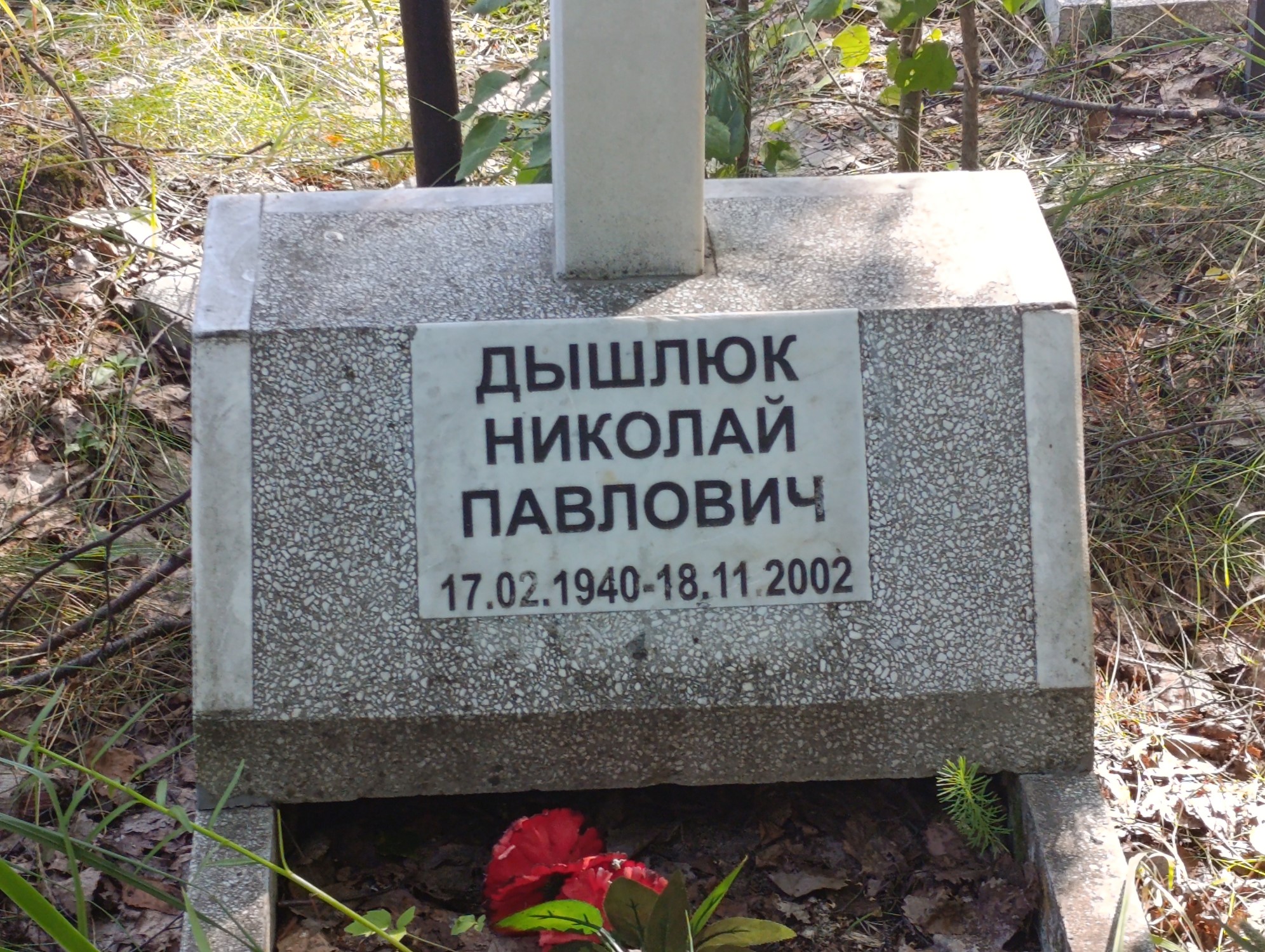 Дышлюк Николай Павлович