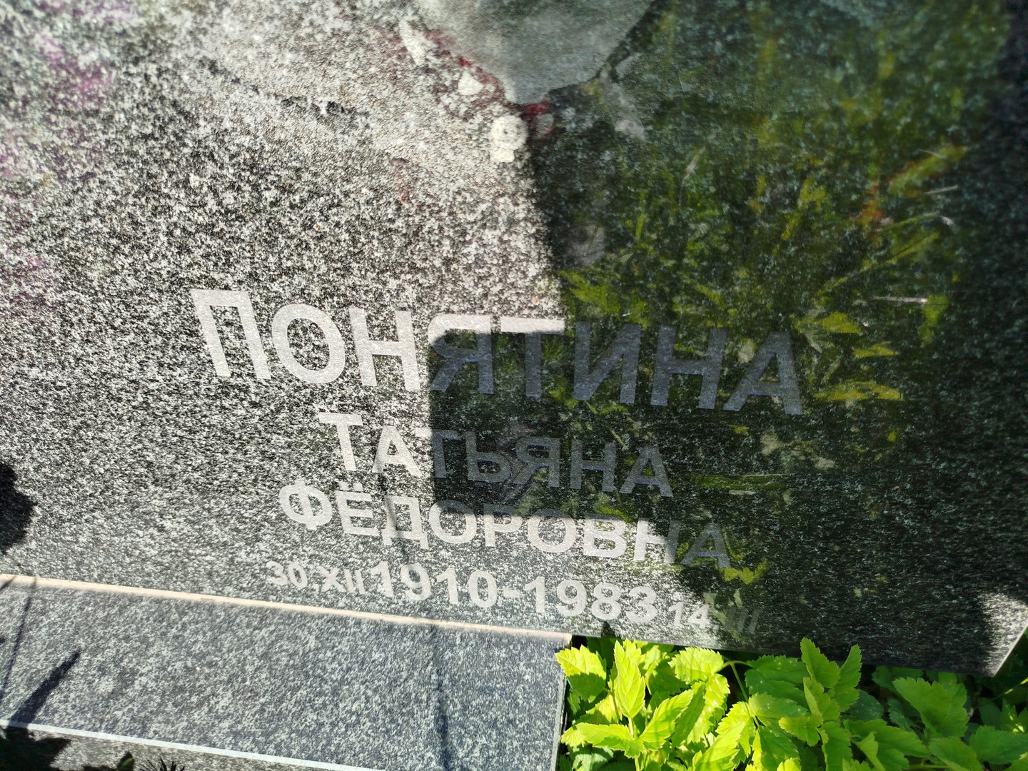 Понятина