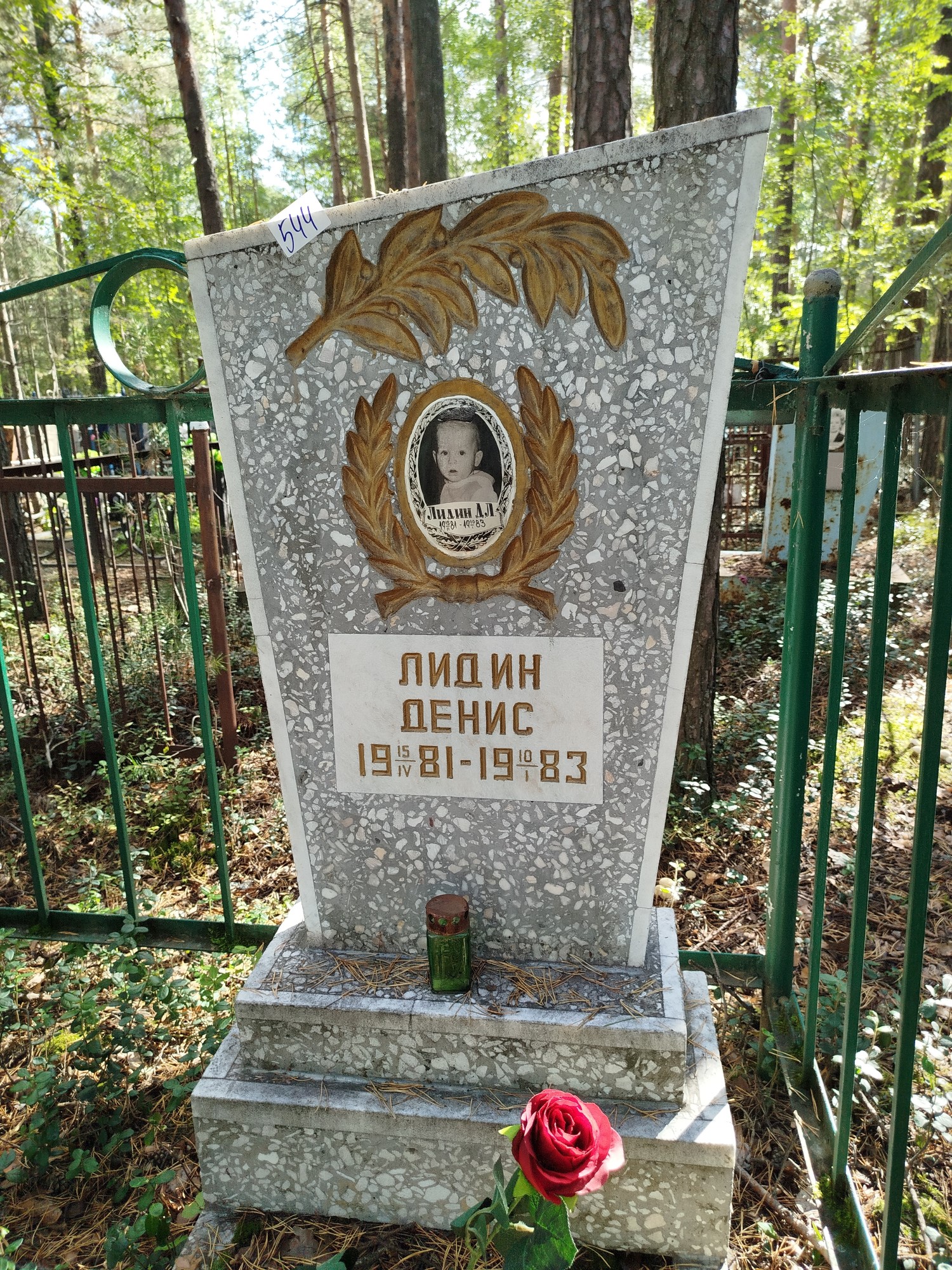 Лидин Денис Л