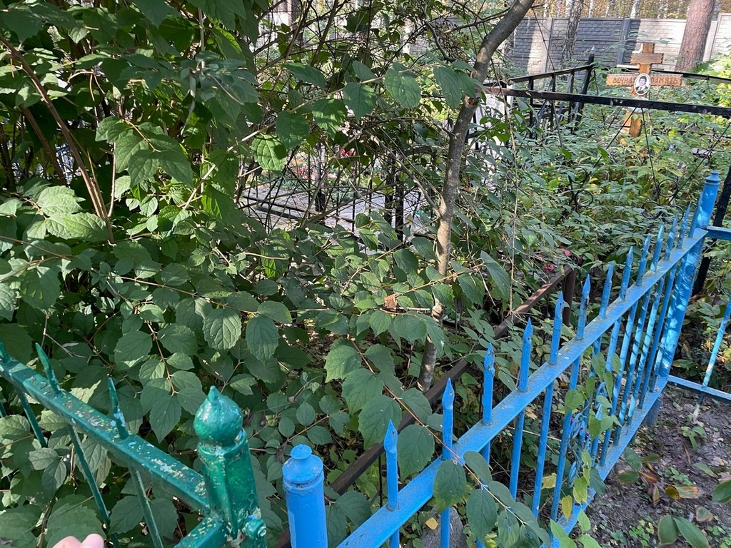 Малов Николай Андреевич