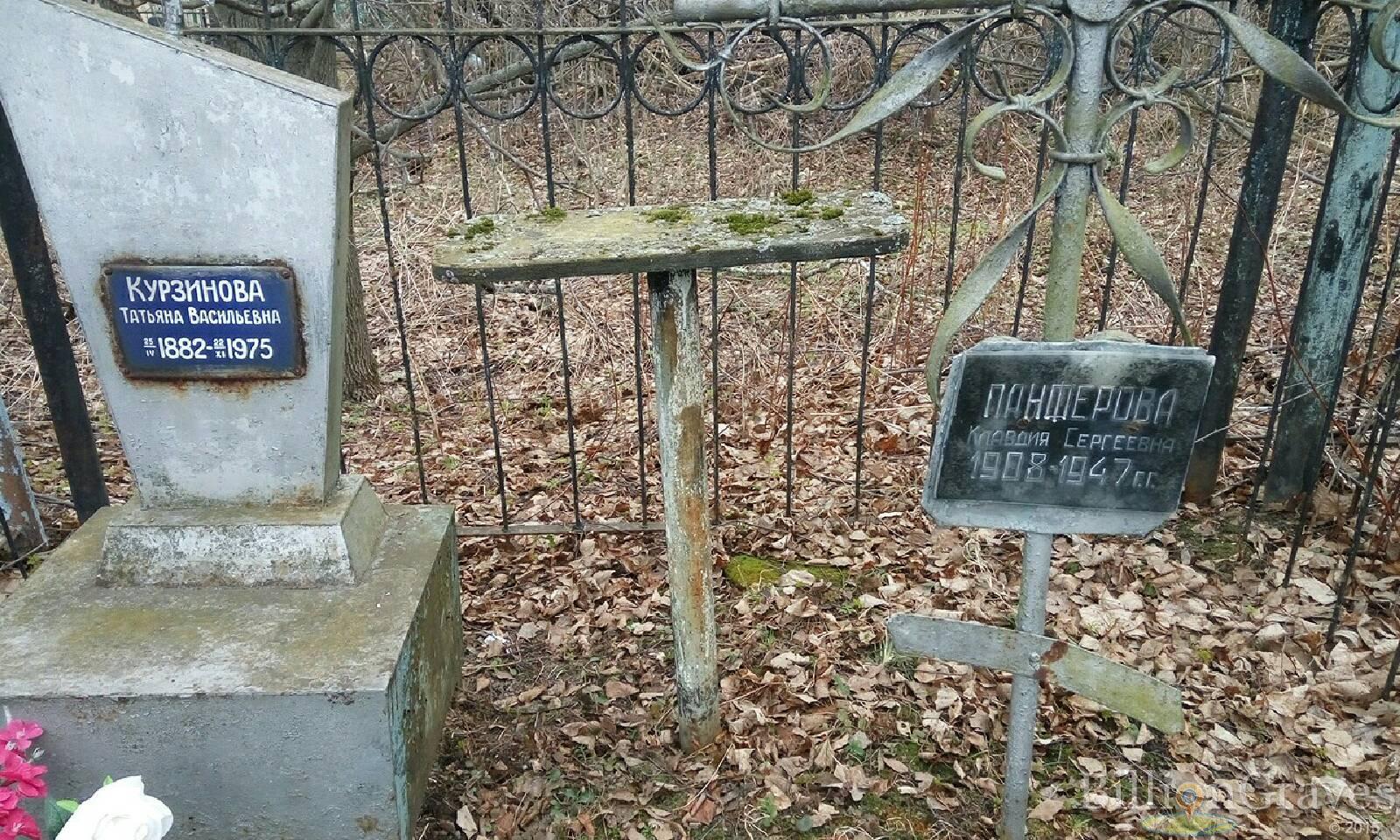 Курзинова Татьяна Васильевна