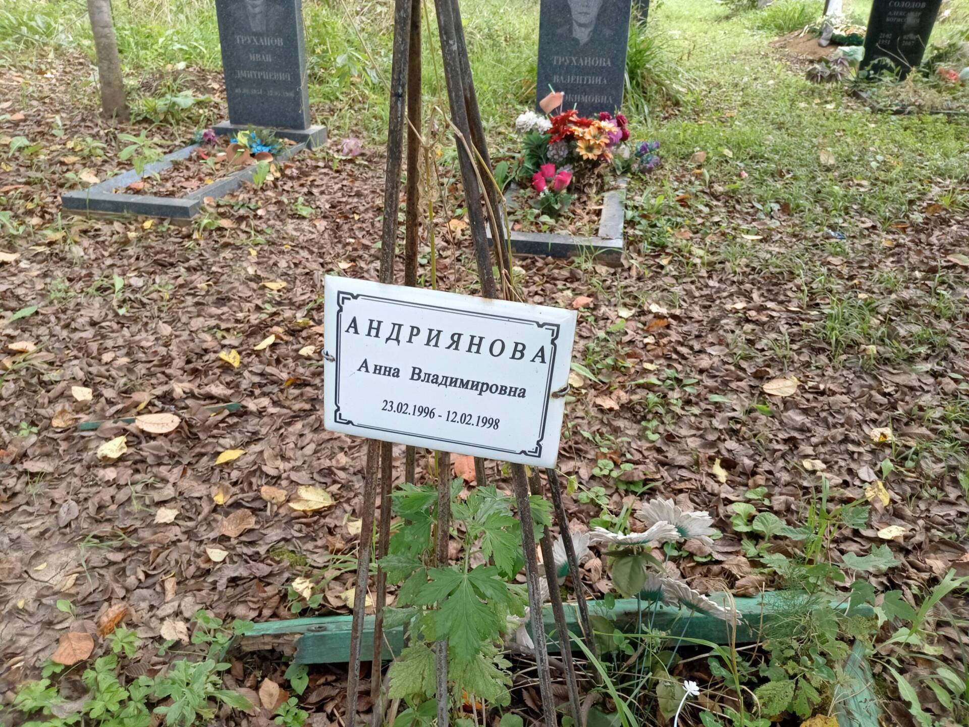 Андриянова Анна Владимировна