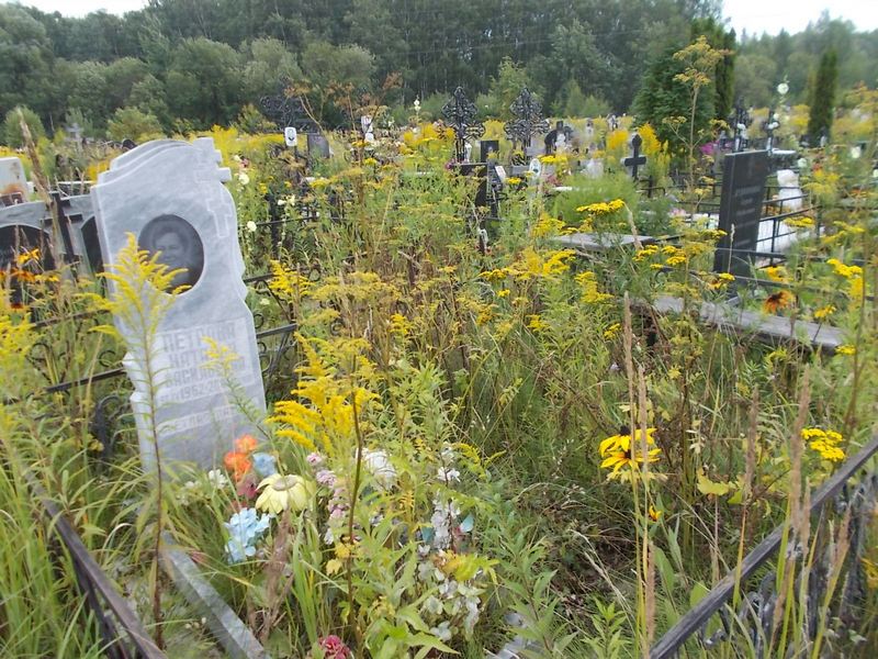 Петрова Наталья Васильевна