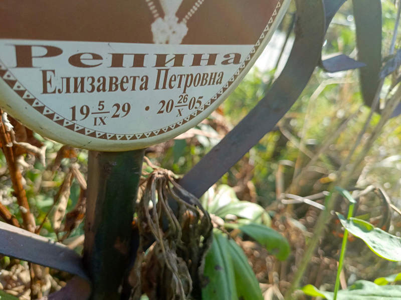 Репина