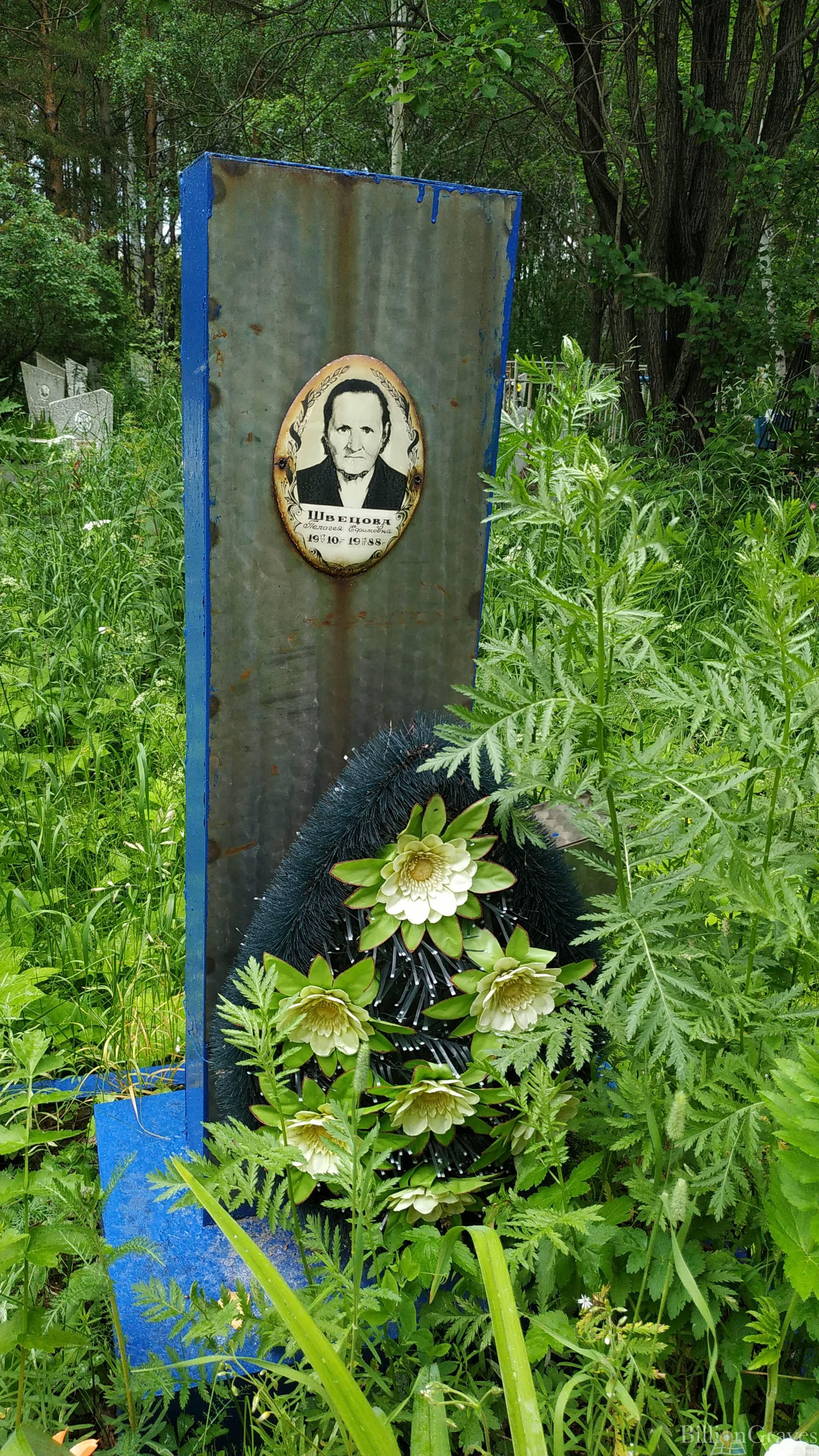 Швецова Пелагея Ефимовна