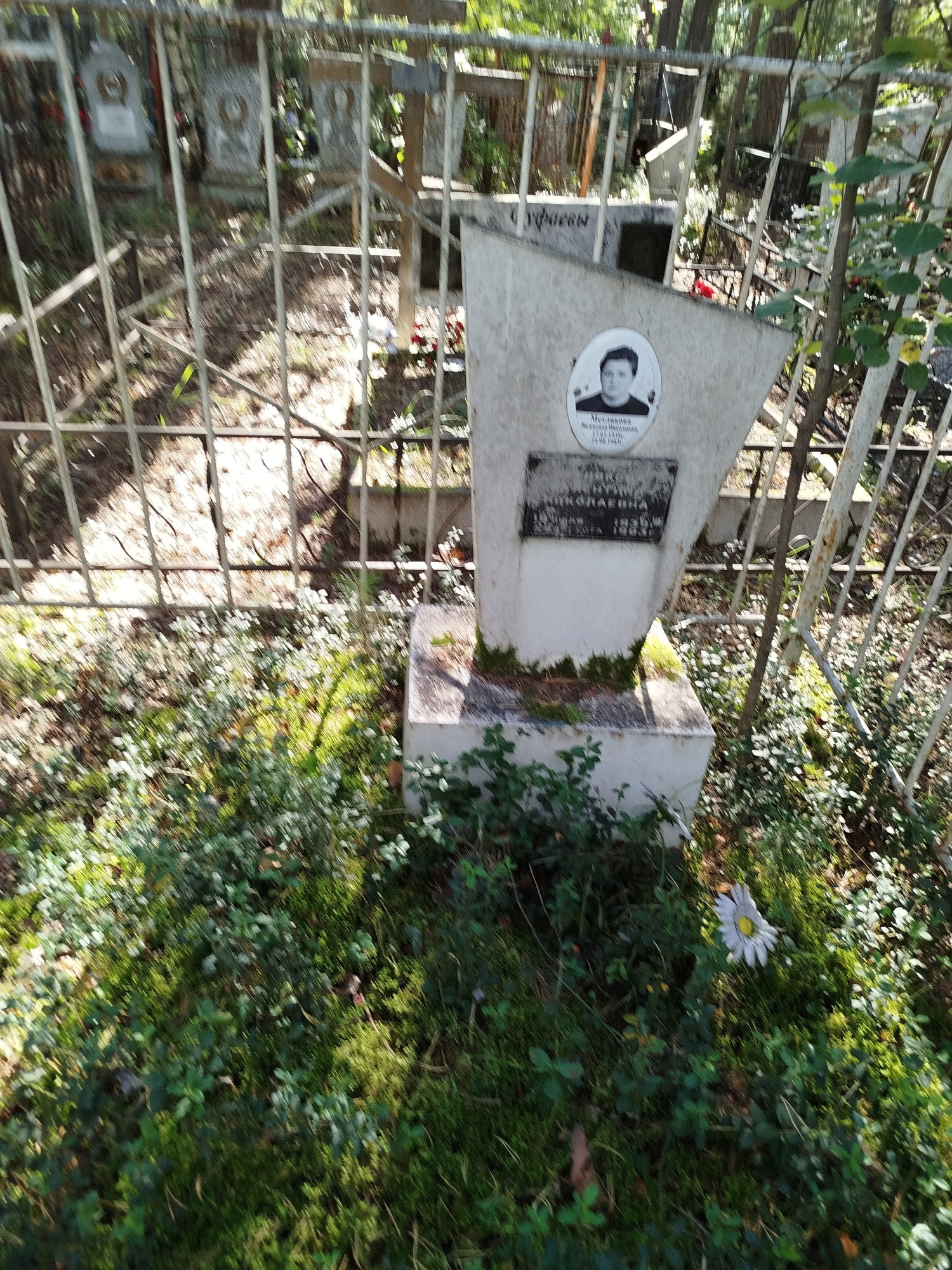 Метлякова Валентина Николаевна