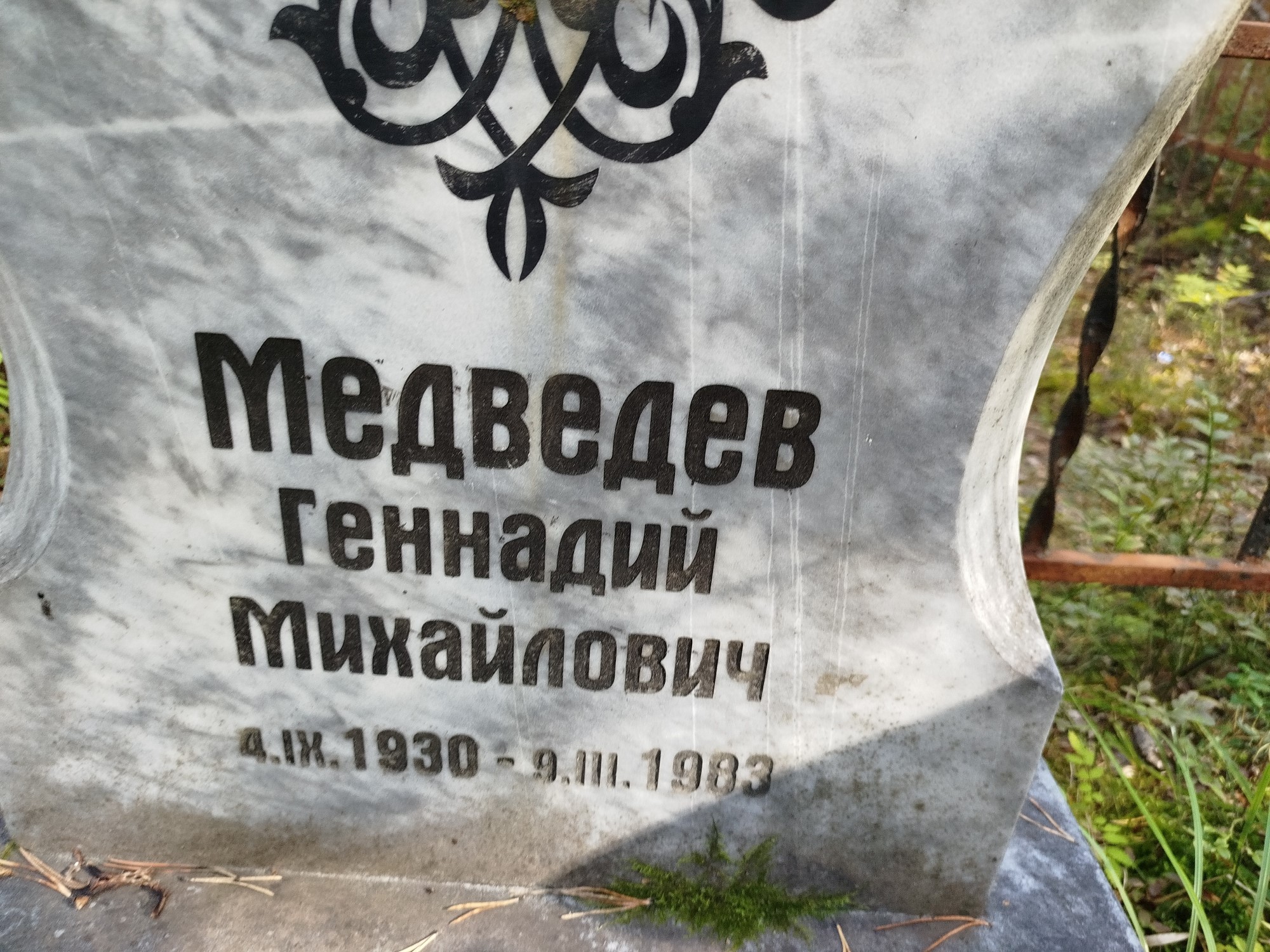 Медведев Геннадий Михайлович