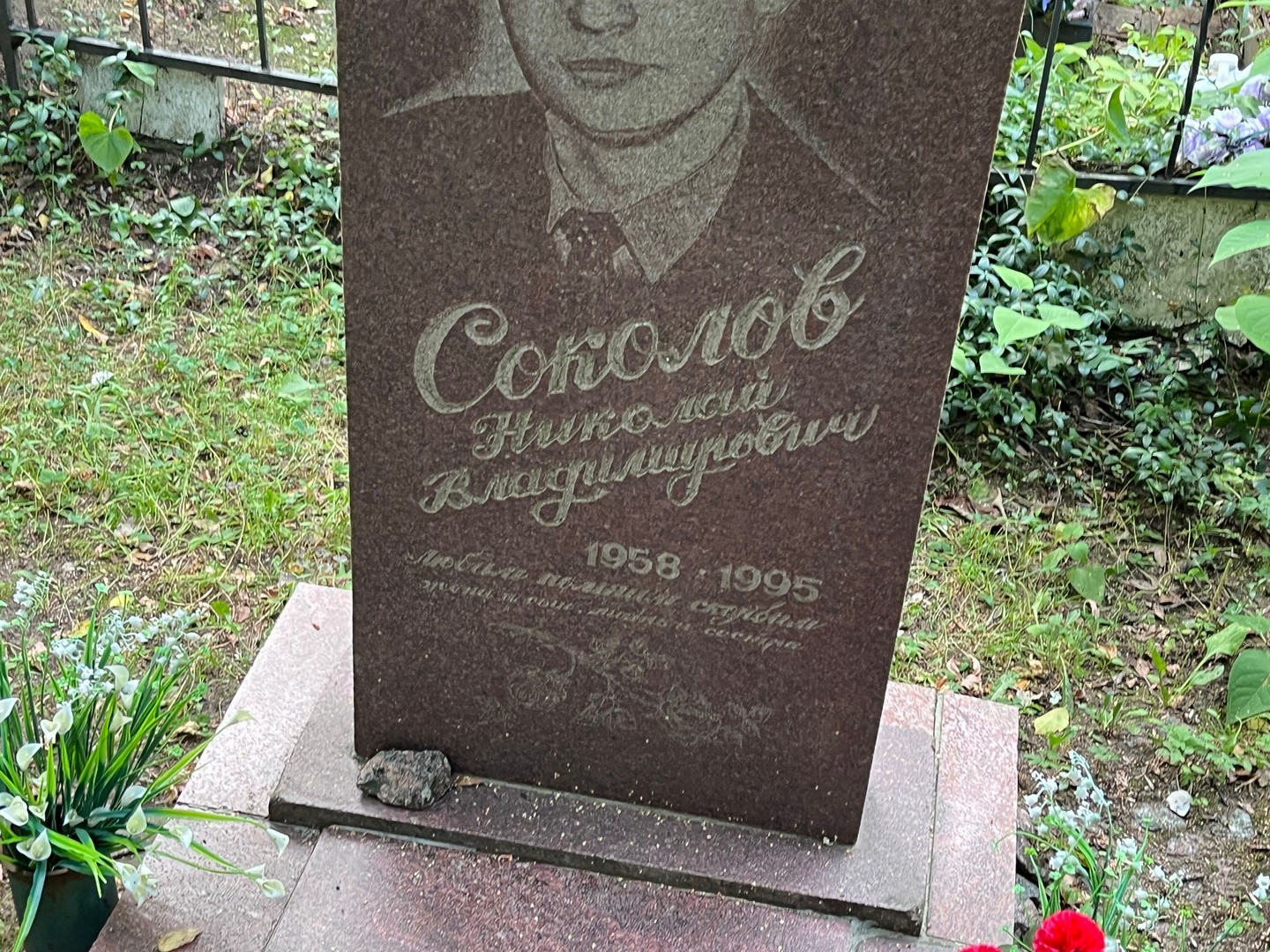 Соколов