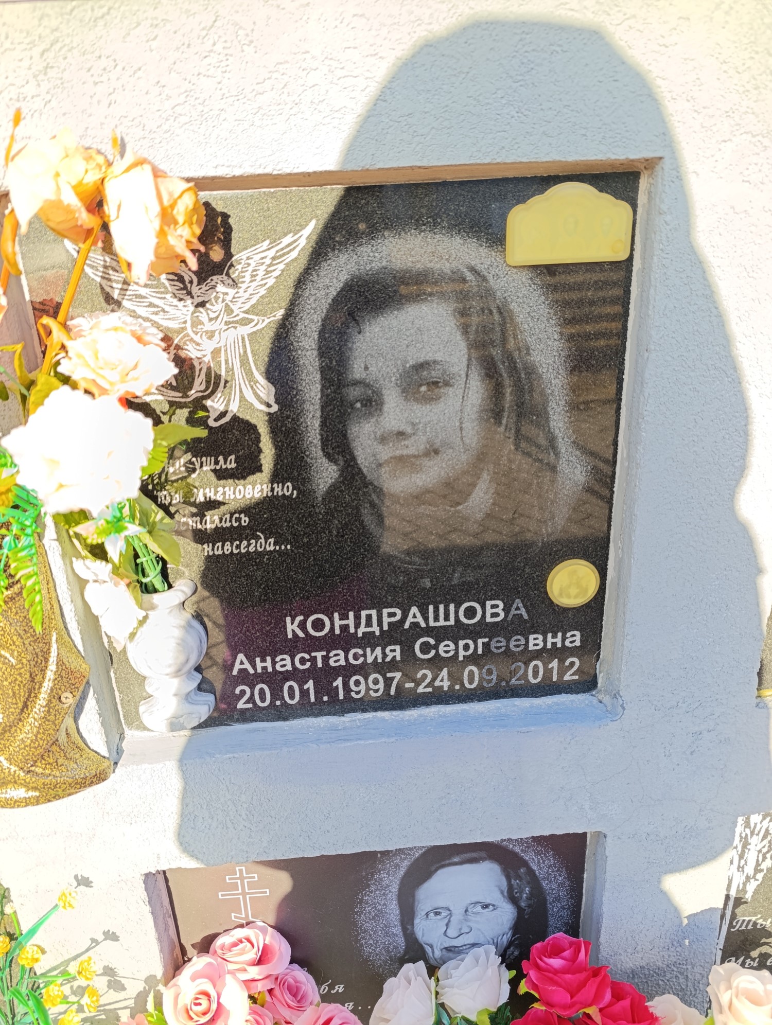 Кондрашова Анастасия Сергеевна