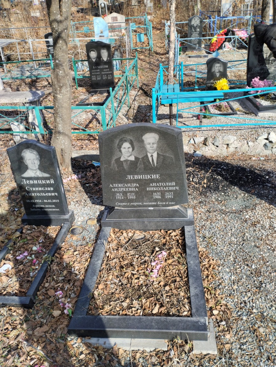 Левицкий Анатолий Николаевич