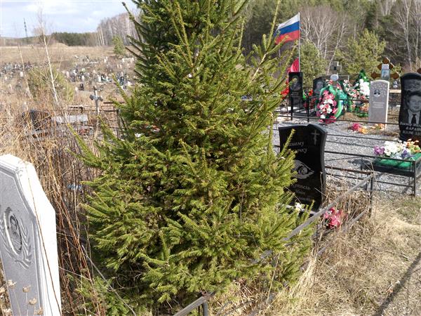 Коппель Иван Вячеславович
