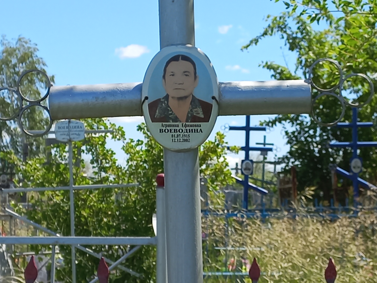 Воеводина Агрипина Ефимовна