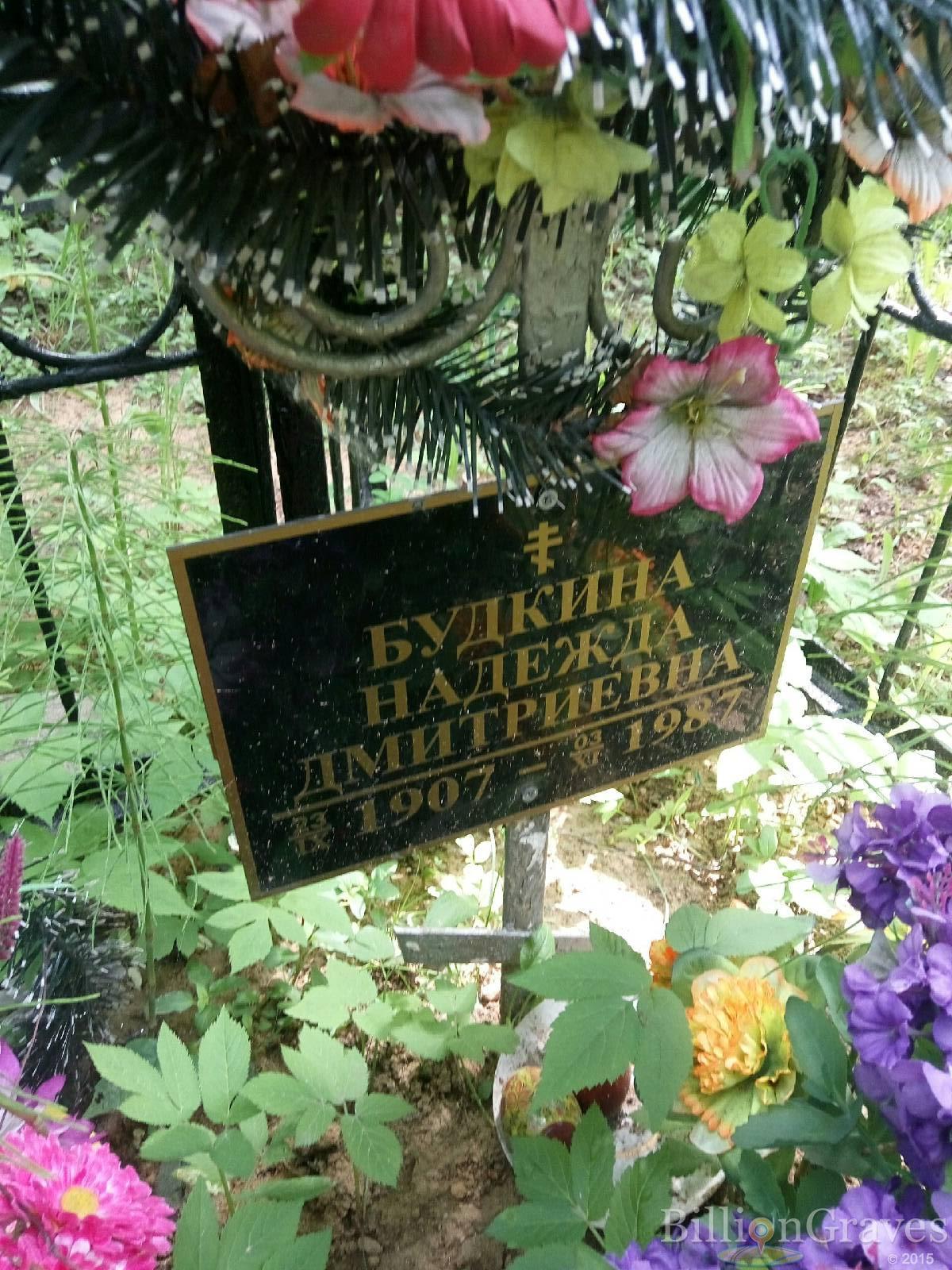 будкина надежда дмитриевна