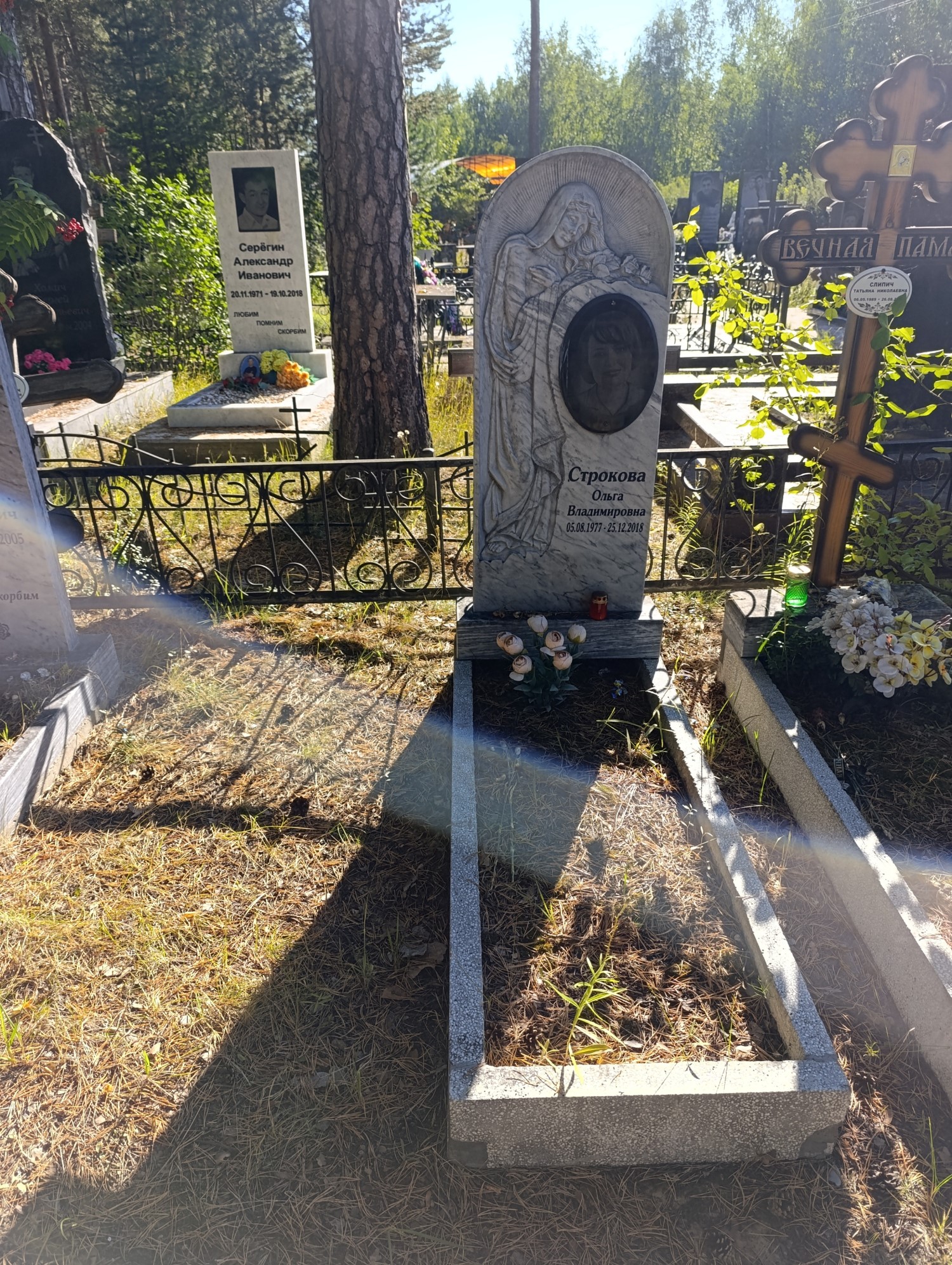 Строкова Ольга Владимировна