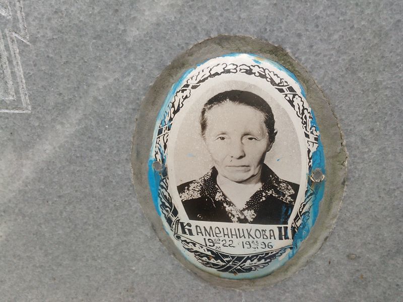Н Каменникова