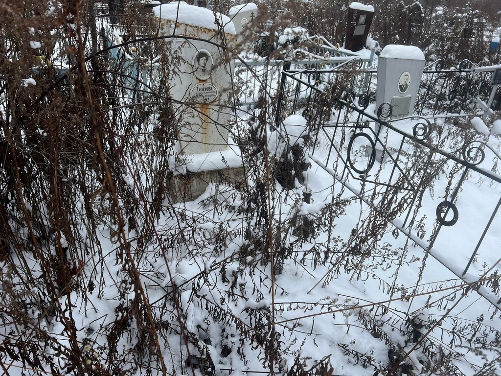 Телехова Людмила Алексеевна